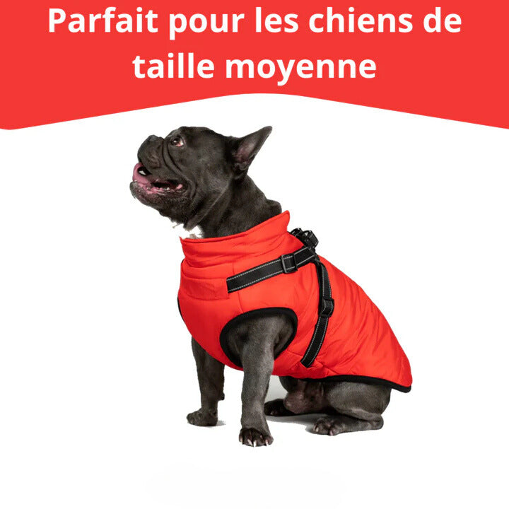 Gilet Imperméable pour Chiens - CanineKigdoms™