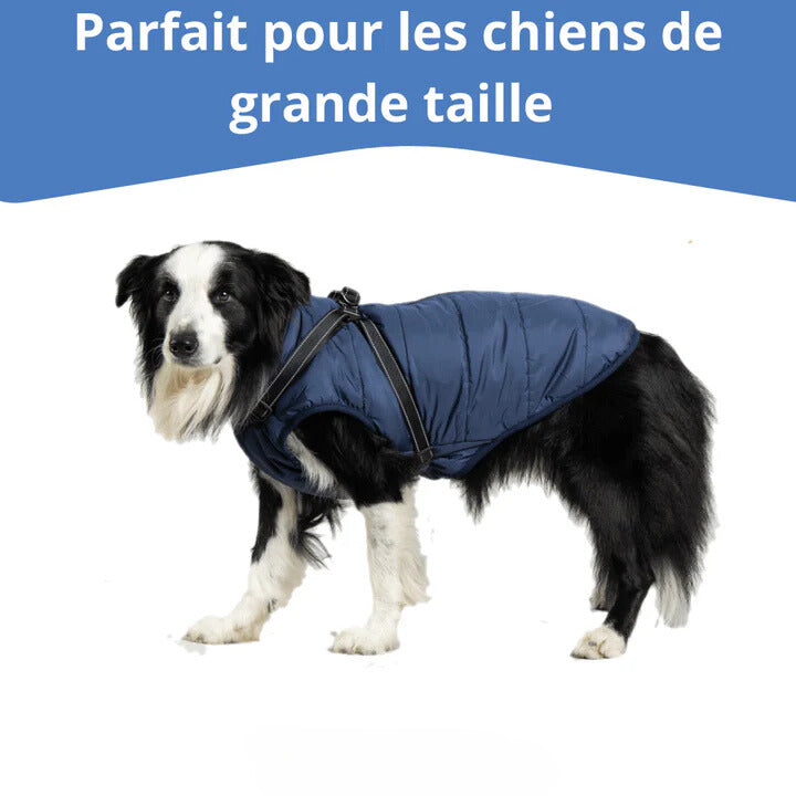 Gilet Imperméable pour Chiens - CanineKigdoms™