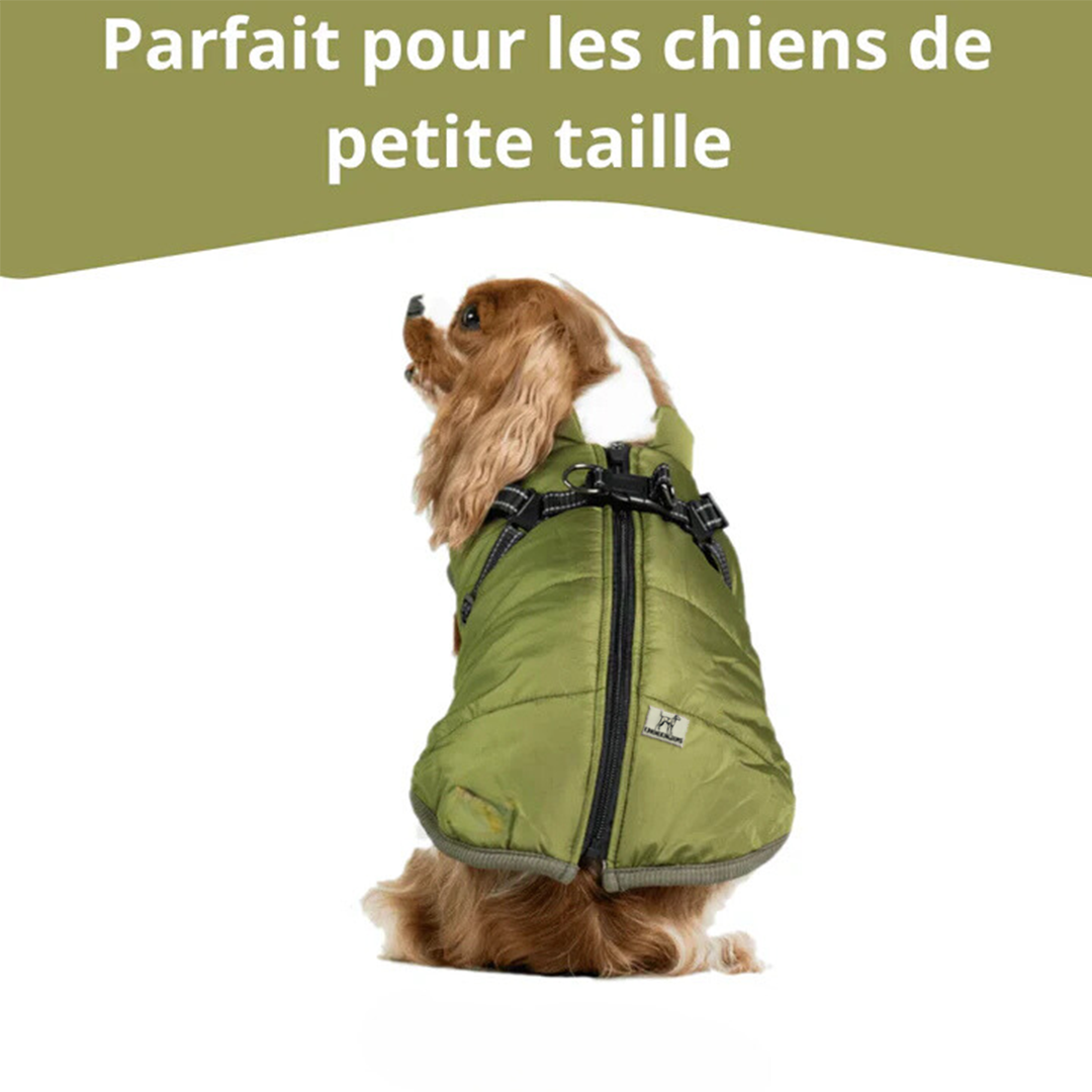 Gilet Imperméable pour Chiens - CanineKigdoms™